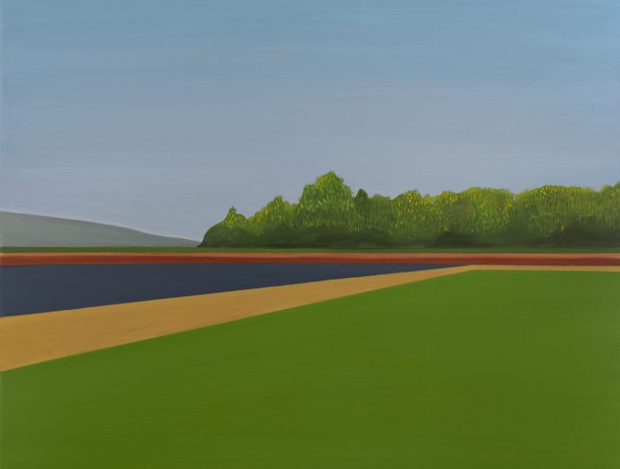 Πεδίο Field 80x100 2022
